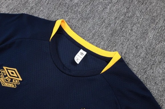 Santos Training Short sleeve Jersey 25/26