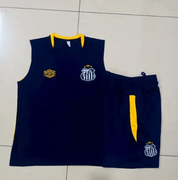 Santos Training Jersey 24/25