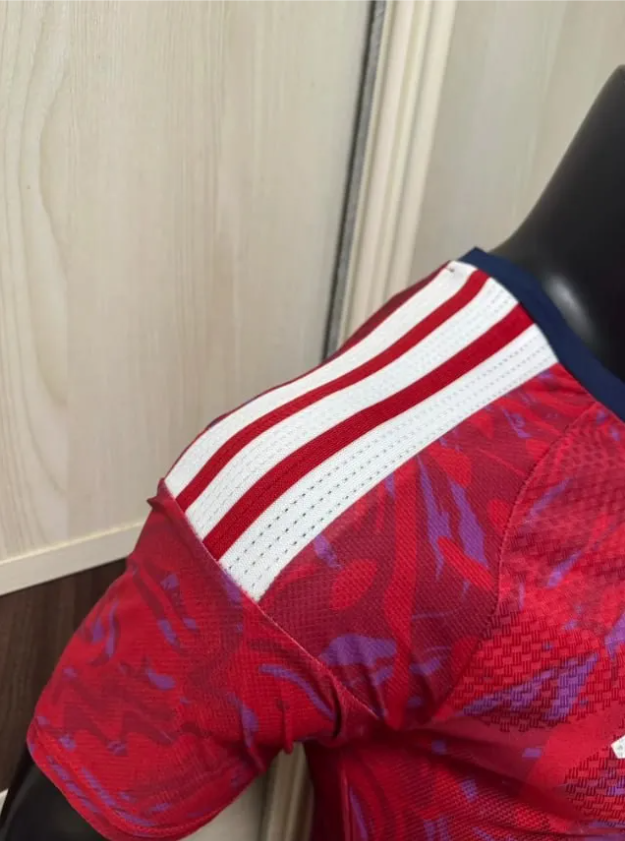 Costa Rica 2026 World Cup Home Player Men Jersey