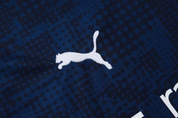 Marseille Training Short sleeve Jersey 23/24