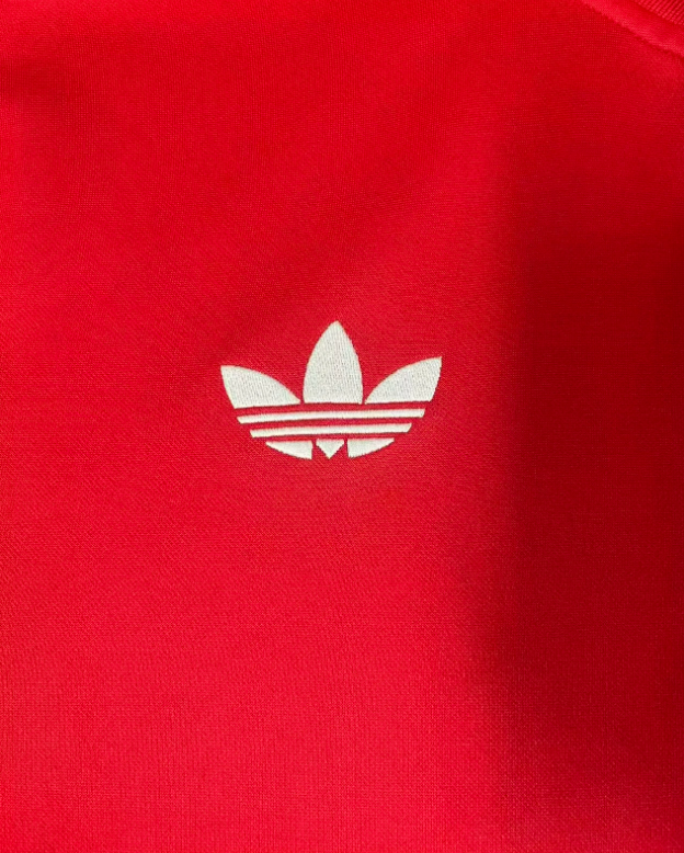 Wales Training Jacket 2026