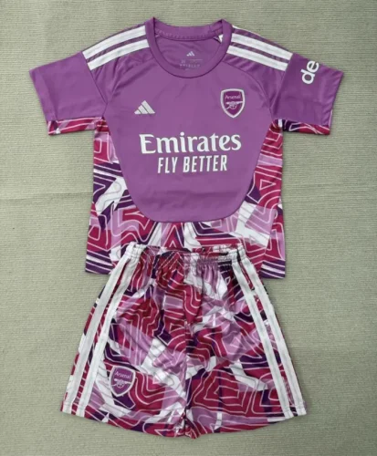 Arsenal Purple Goalkeeper Men Jersey Suit 26/27