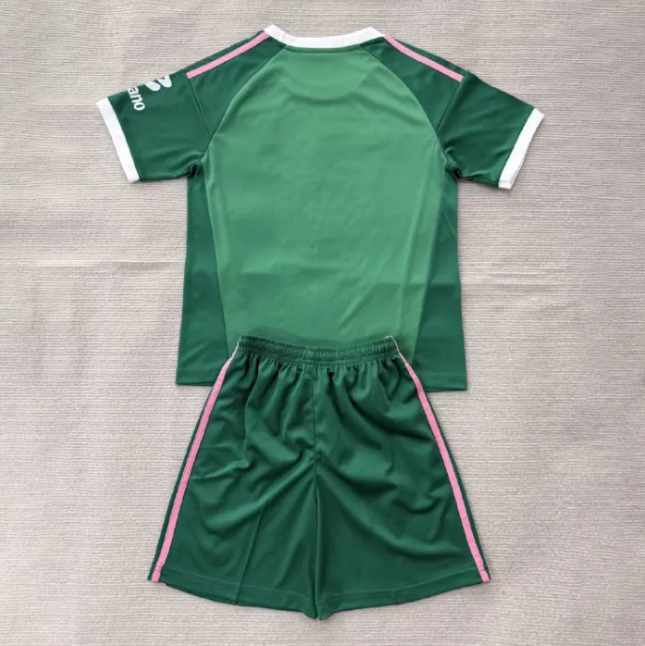 Aston Villa Green Goalkeeper Men Jersey Suit 26/27