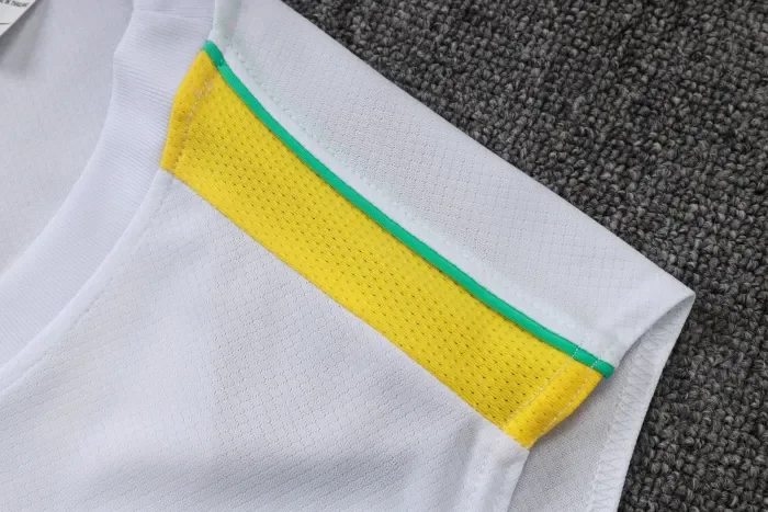 Brazil Training Jersey 26/27