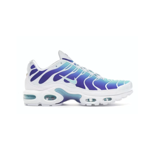 Air Max Plus Low-Top Lifestyle Shoes, Blue/White (Unisex, Sizes 36–49)