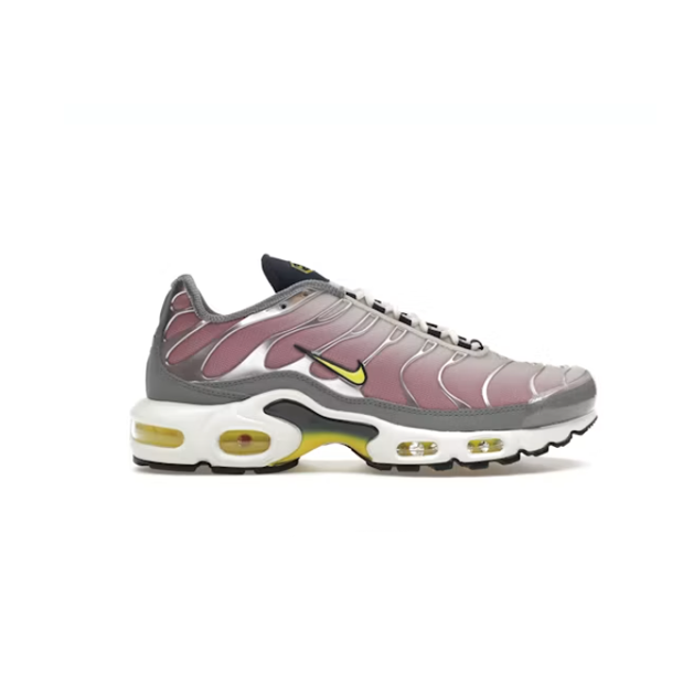 Air Max Plus Low-Top Lifestyle Shoes, Silver/Purple (Unisex, Sizes 36–49)