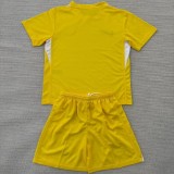 25/26 Chelsea yellow goalkeeper  Adult Set