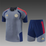 26/27 Bayern Munich Short sleeve training suit grey