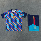 26/27 Spain short -sleeved training suit