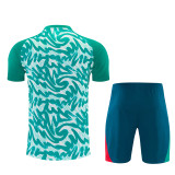 26/27 Portugal kids short -sleeved training suit green