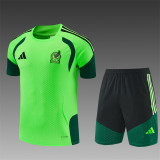 26/27 Mexico short -sleeved training suit green