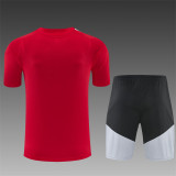 26/27 Spain short -sleeved training suit red