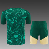 26/27 Real Madrid Short sleeve Adult training suit green