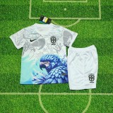 25/26 Brazil Parrot Special Edition kids kit