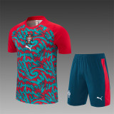26/27 Portugal short -sleeved training suit red green