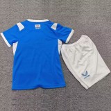 26/27 Cardiff City home kids kit
