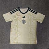 26/27 Celtic third football jersey