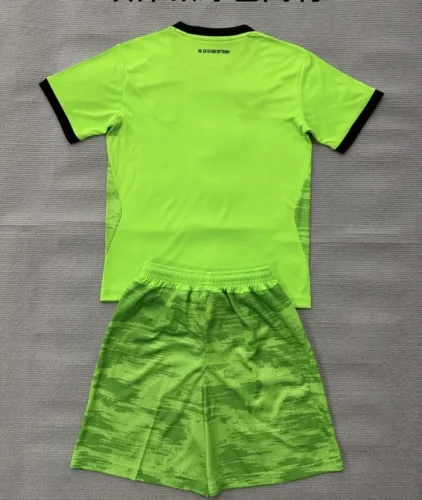 26/27 Everton goalkeeper Adult Set green