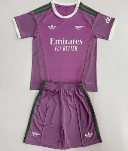 26/27 Arsenal goalkeeper Adult Set Purple