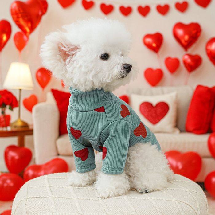 Warm Comfortable Pet Clothes Dog Cat Clothing Love Shirt Sweater Puppy Apparel
