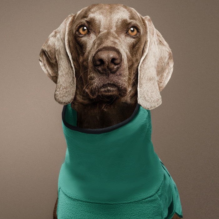 Pet Clothes Thickened Warm Dog Clothes Hooded Pet Sweater Coat Warm Clothes New