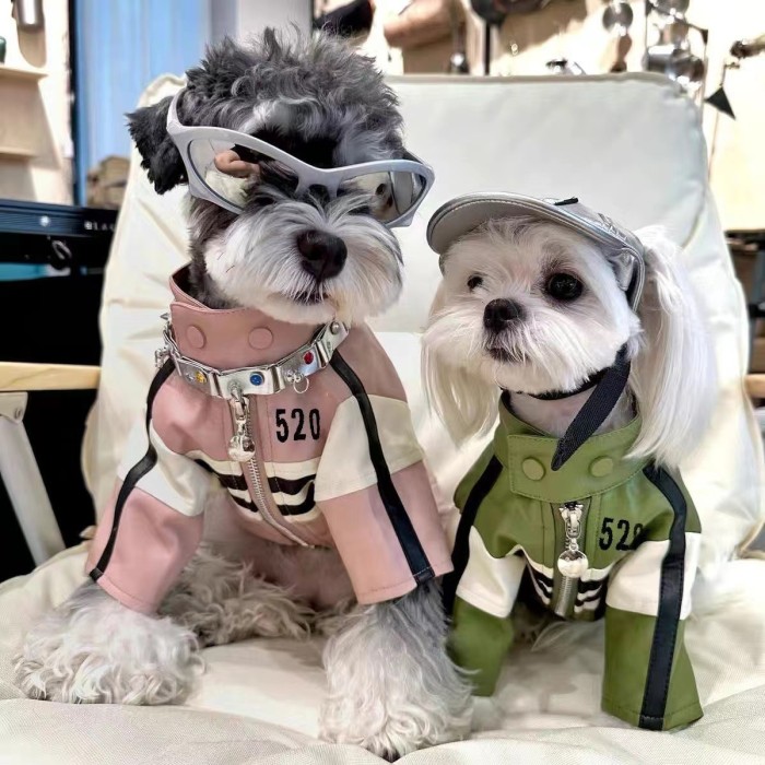 Dog Spring Autumn Winter Clothes Warm Coat Pet Jacket Jumpsuit Puppy Apparel New