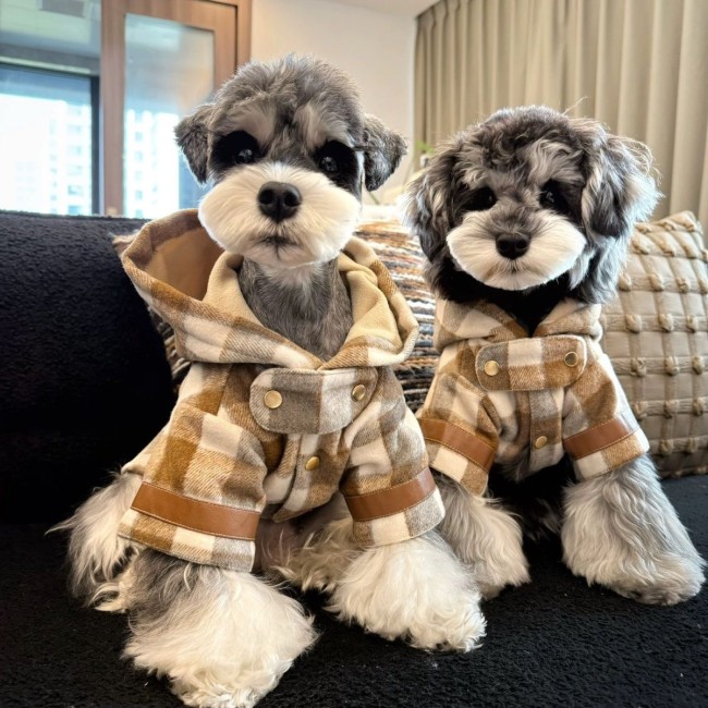 Pet Cat Sweater Clothes Hooded Coat Dog Autumn Winter Warm Clothes Puppy Apparel