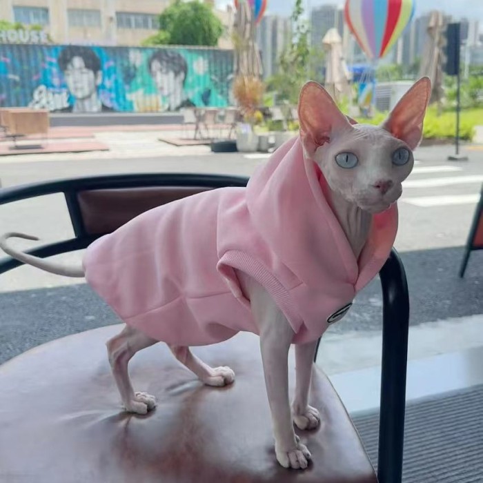 Pet Autumn Winter Sweatshirt Handsome Hooded Puppy Dog Cat Clothes Thick Warm 