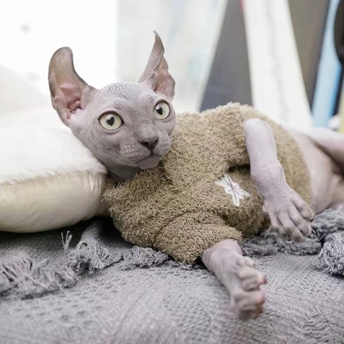 Dog Cat Clothes Warm Pet Fluffy Jacket Soft Hairless Dog Spring Autumn Winter