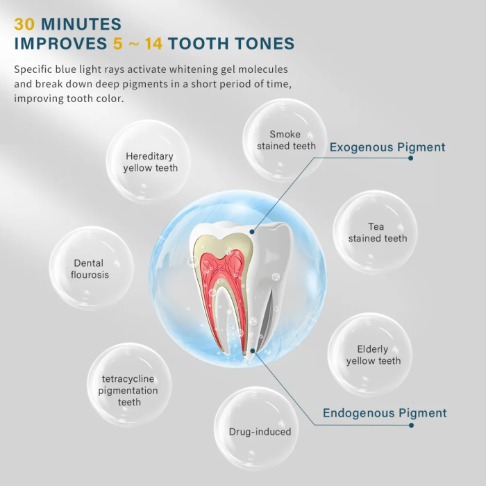 Niceden 1/3 Colour Teeth Whitening Light Professional Dental Teeth Whitening Instrument LED Light Dental Teeth Whitening Instrum