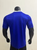 2025 AD Casual Blue Player Version Training shirts *三叶草