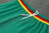 25-26 Cameroon High Quality Training Short Suit