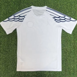 25-26 PSG White Special Edition Fans Training shirts