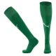 25-26 Dortmund Green Socks