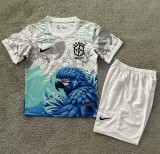 25-26 Brazil Special Edition Kids Soccer Jersey