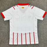 25-26 Girona Home Fans Soccer Jersey
