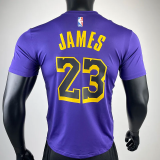 2023 LAKERS JAMES #23 Purple Quick drying T-shirt (Trapeze Edition) 飞人版