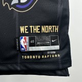 24-25 Raptors Top Quality Hot Pressing NBA Jersey