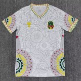 25-26 Mali White Special Edition Fans Soccer Jersey