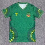 25-26 Mali Green Special Edition Fans Soccer Jersey