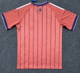 25-26 Scotland Special Edition Fans Soccer Jersey