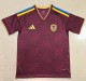 2026 Venezuela Home Fans Soccer Jersey