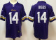 2025 NFL Minnesota Vikings New Pattern Jersey