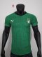 25-26 Cote d'Ivoire Green Special Edition Player Version Soccer Jersey