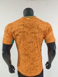 2026 Cote d'Ivoire Home Player Version Soccer Jersey
