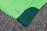 2026 Mexico Green High Quality Player Version Training Short Suit (球员套装)
