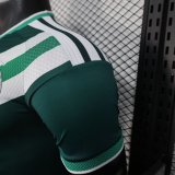 25-26 Saudi Arabia Special Edition Player Version Soccer Jersey