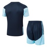 2026 AD Blue High Quality Player Version Training Short Suit (球员套装)