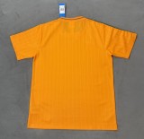 26-27 Cote d'Ivoire Special Edition Fans Soccer Jersey