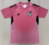 2026 Mexico Pink Goalkeeper Fans Soccer Jersey